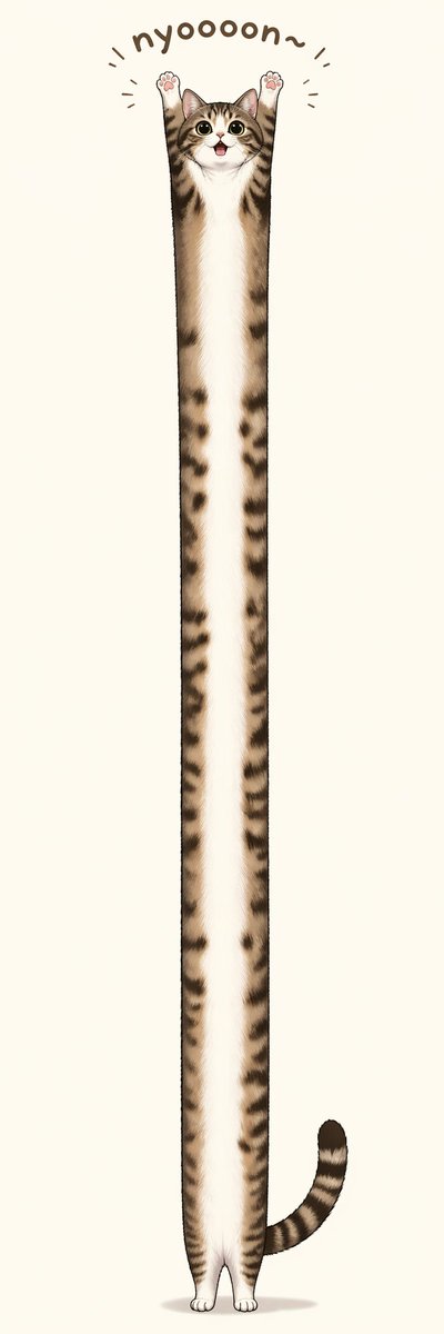 长条伸展虎斑猫